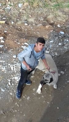 kustepe_zeynel's profile picture. 