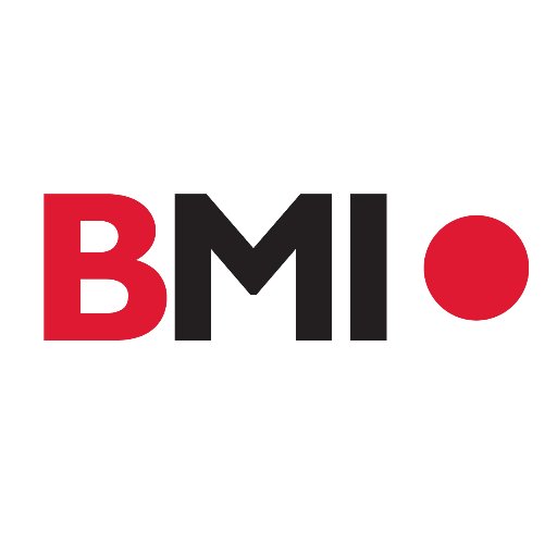 BusinessModelsInc • US Profile