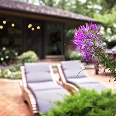 HLMPropertyMgmt's profile picture. HLM Property Management combines over 30 years of landscape management with full concierge service that will cover all aspects of home care.
440.990.9532