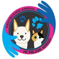 Asociacion de Protección Animal Mi Mejor Amigo(@AsociacionMi) 's Twitter Profile Photo