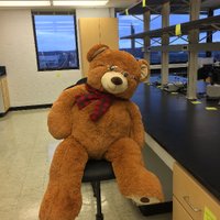 Bridges Lab (@bridges_lab) 's Twitter Profile