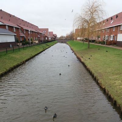 JCampbell8012's profile picture. ...