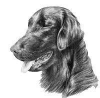 NCVhome's profile picture. Moral Excellence is my personal objective, not my measure of others.