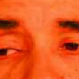 2amhoney's profile picture. contact me @birdtxwn