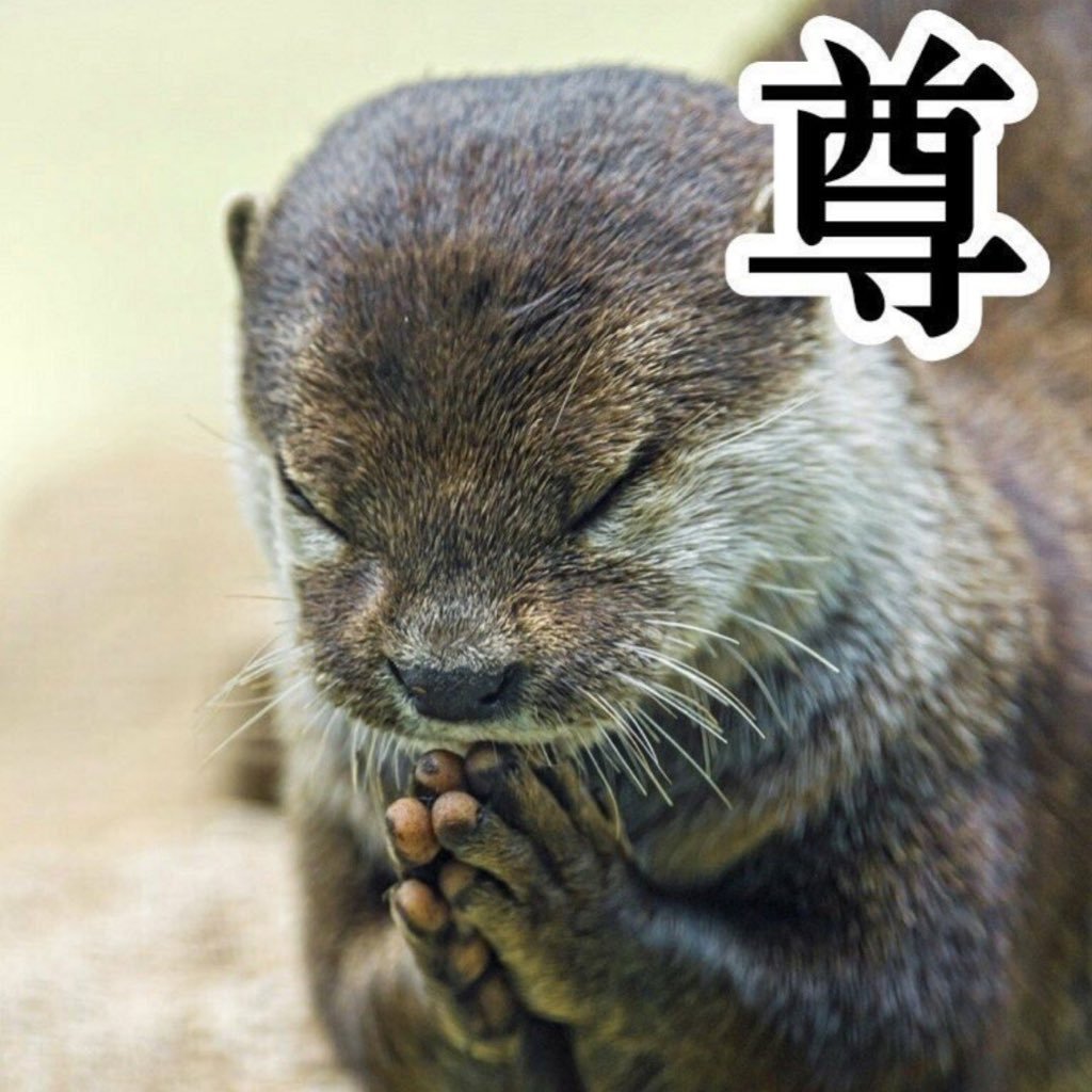 munya_nunya's profile picture. みなさま応援してます！