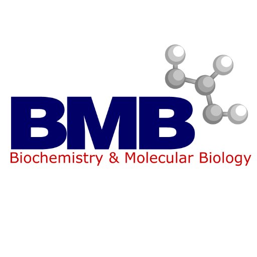 Biochemistry and Molecular Biology Department, UTMB, Galveston