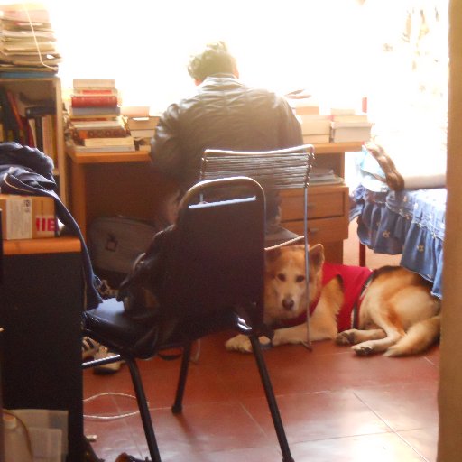 PseudoE_'s profile picture. 