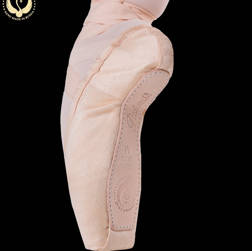 Siberian Swan Pointe Shoes