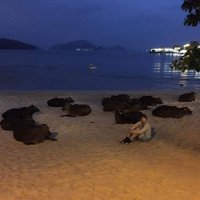 Kieran S. Linfor(d) (@linford1878) 's Twitter Profile