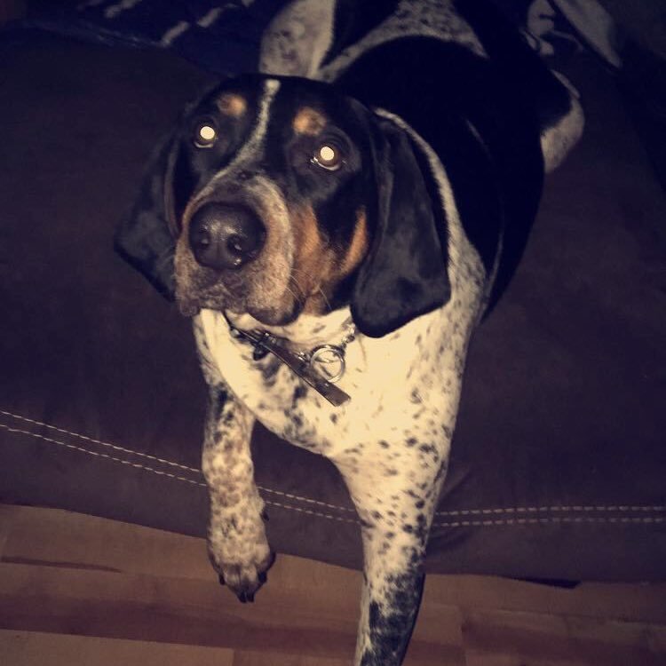 tinoo_1999's profile picture. 