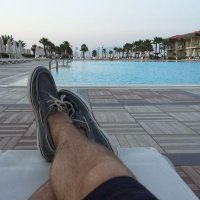 Enis (@real1enis) 's Twitter Profile