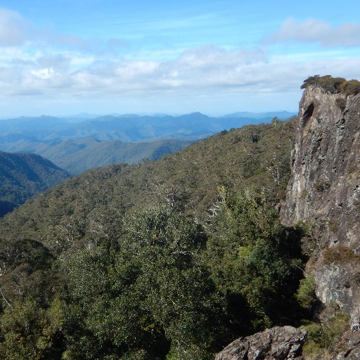 We apply rigorous science to questions relating to the storage, distribution and cycling of carbon in the terrestrial system.