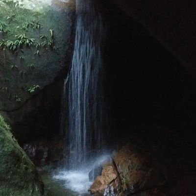 phd candidate @IE_UFRJ
china analyst @Fiocruz 
tijucano da mantiqueira