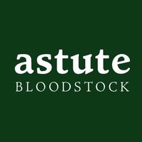Astute Bloodstock(@AstuteBldstock) 's Twitter Profile Photo