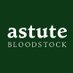 Astute Bloodstock (@AstuteBldstock) Twitter profile photo