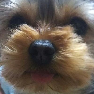 わらさんのプロフィール画像