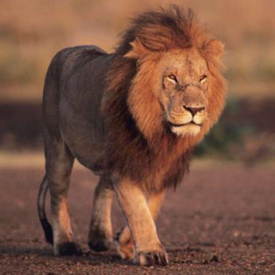 bader19824's profile picture. سبحان الله وبحمده سبحان الله العظيم