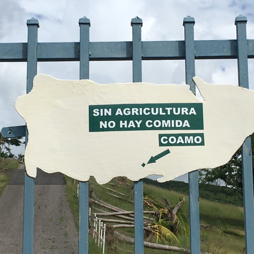 AmyEEnglish's profile picture. 