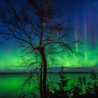 MaryAnn Williams🇨🇦 (@stormymaryann) 's Twitter Profile Photo MaryAnn Williams🇨🇦 (@stormymaryann) 's Twitter Profile Photo