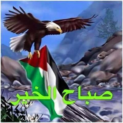الأخبار