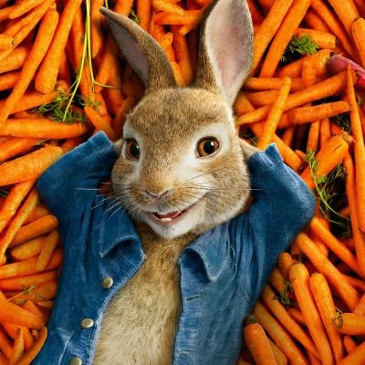 Rajnika47842831's profile picture. 