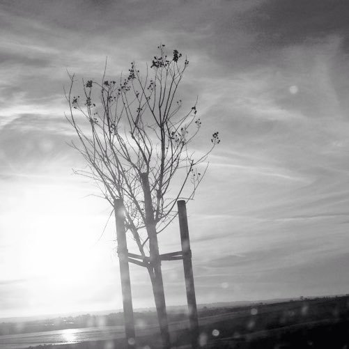 rubi54441842's profile picture. I'll give you advice when you don't know what do or say