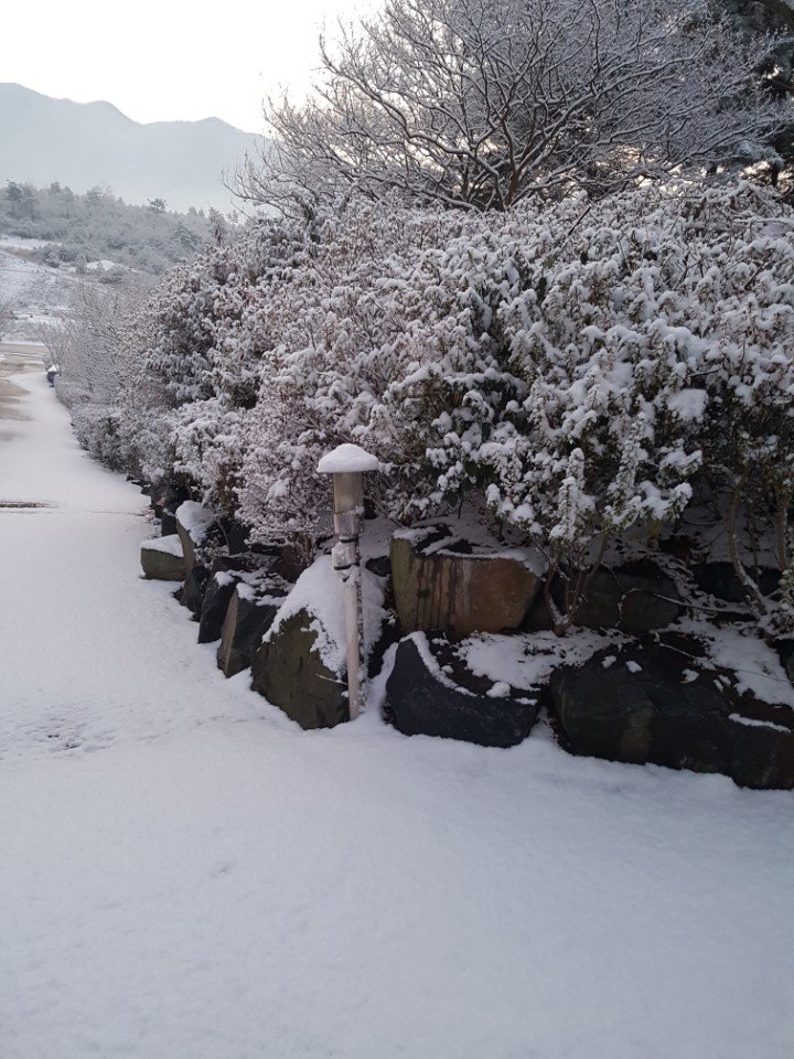 suan0213's profile picture. suan