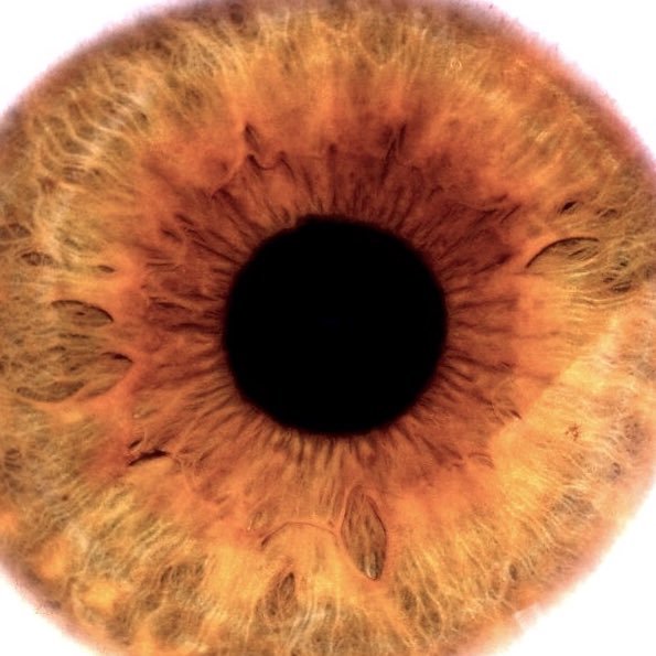 zlakfoto's profile picture. Bern / Biel / Wien. Medizininformatik. Fahrradkultur, Fotografie, Berge, vegetarisch Kochen und Essen. He/him. Mastodon: https://t.co/ZUKCQe1baH