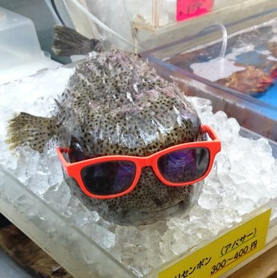 ryuzo19950502's profile picture. ゲーム好き。
気に入ったものがあればすぐに何でもフォローするよ。基本ROM専