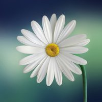kkoop02 (@kkoop02a1) 's Twitter Profile