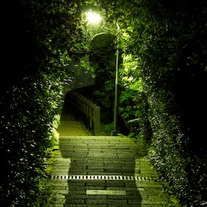 neilwade's profile picture. A photographer based in Taiwan