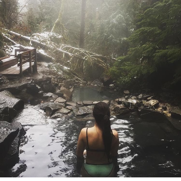 TaylorBrouwer1's profile picture. 