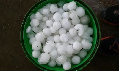 adsingh801's profile picture. 