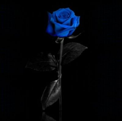 I fell in love with you because you love me when I couldn't love my self