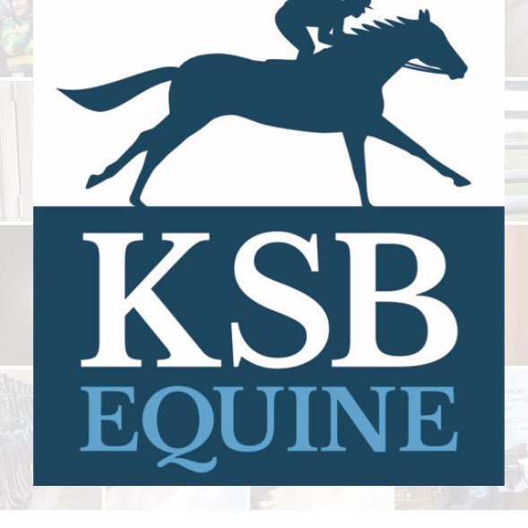 Kim Smith-Bingham, Founder of KSB Equine, global distributor of Immun-Ocean 100% natural Irish horse supplements and die-hard racing enthusiast.