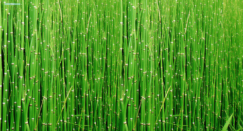 TerraVitaSaysIt's profile picture. Sharing a lot of good, a little inspirational, a touch of the bad & some great links to the best of the best.