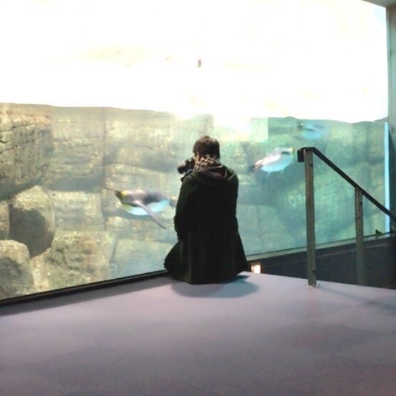 4Syouta25's profile picture. カメラ持ってる調理師