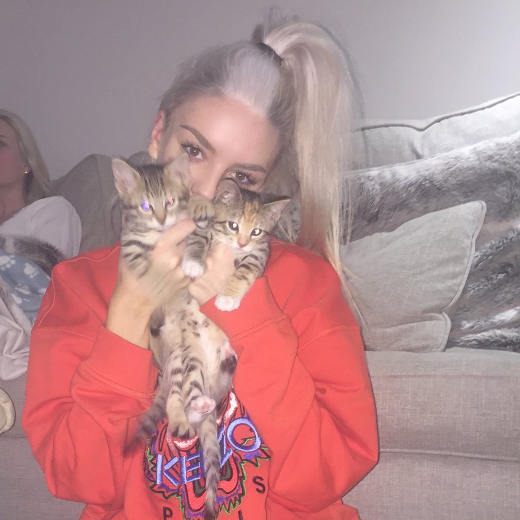 sophieensorr's profile picture. yakuse