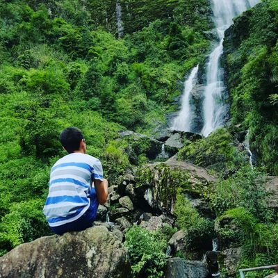 asafifu2011's profile picture. 