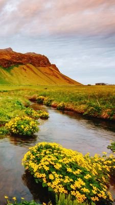 Ira21464836's profile picture. 