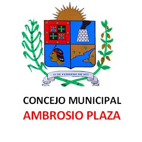 El Concejo Municipal de Plaza insertado con las comunidades por su transformación social y por el fortalecimiento de las Comuna