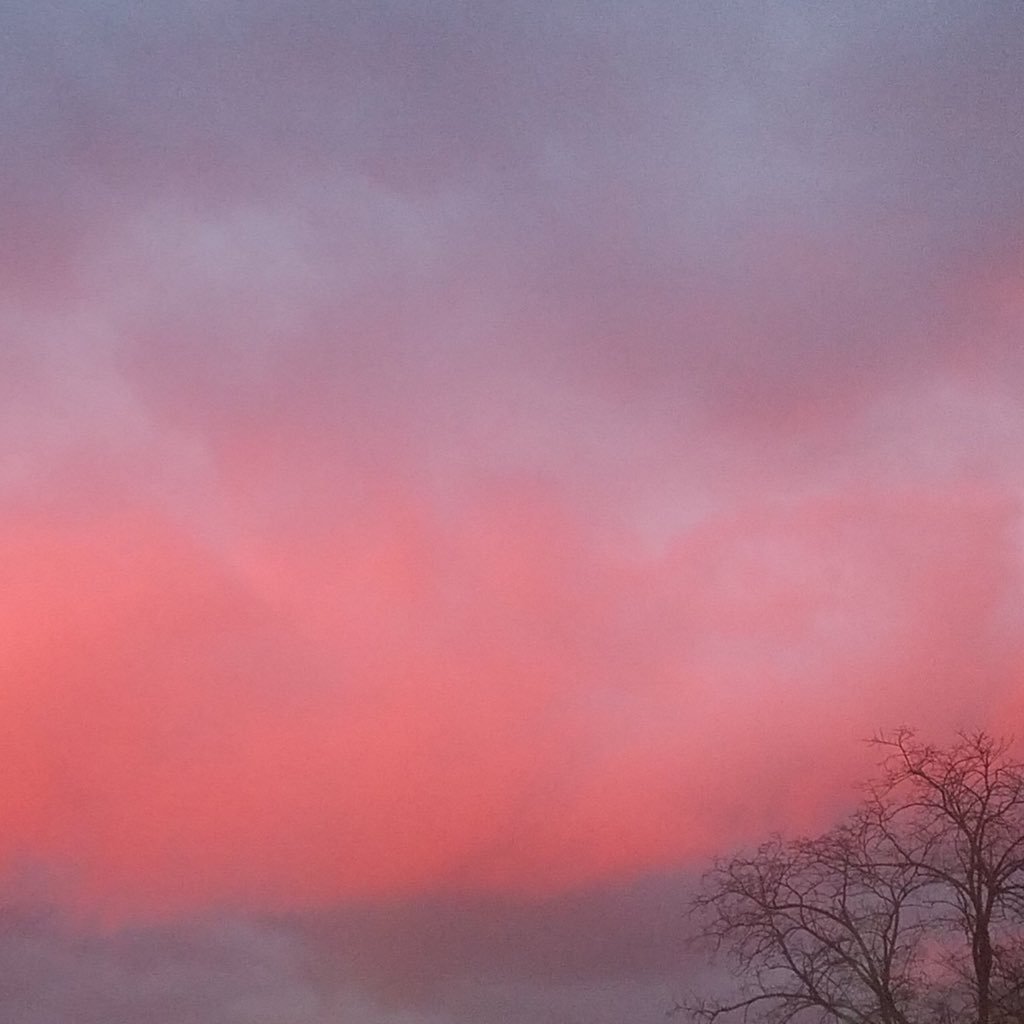 K_BDuo's profile picture. 