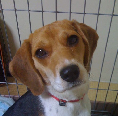 yoisoda's profile picture. Bassにバイクにガジェットに