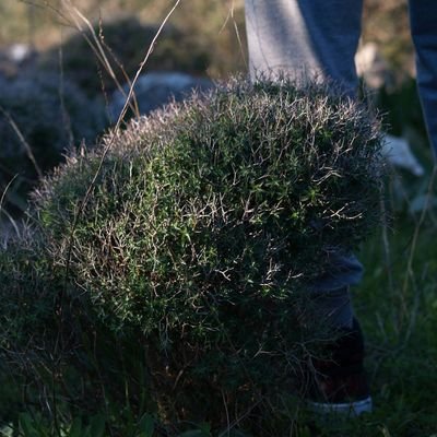 kostasmallios1's profile picture. 