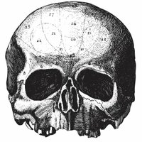 Black Label Society (@worldwidebls) 's Twitter Profile