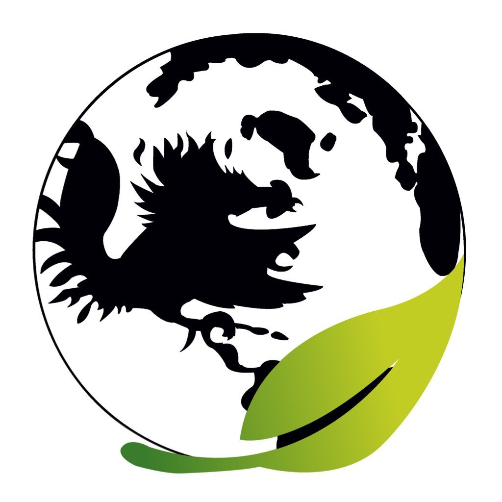 SustainableCaro's profile picture. The student branch of USC's Office of Sustainability. Creating an equitable, healthy, & sustainable campus requires a collaborative effort. Glad you're here! 🌱