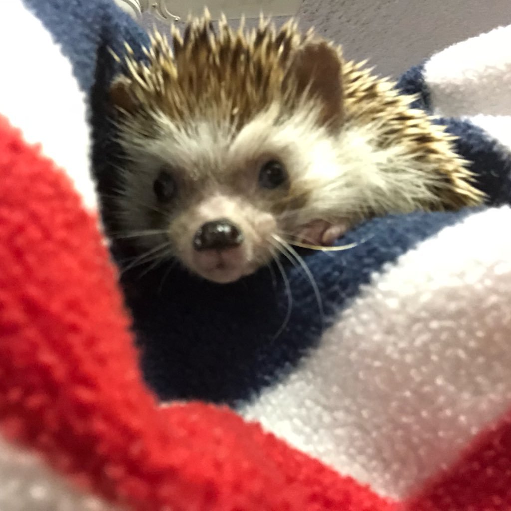 tararrrrr's profile picture. 