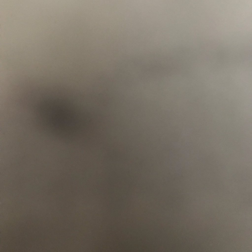 AneP46280256's profile picture. 