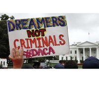 Defend Dreamers(@ProtectDaca_) 's Twitter Profile Photo