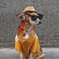 Perry McBride (@rodesorval) 's Twitter Profile